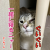 しつこい風邪にヤラレっぱなし！