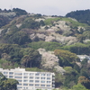 熱海の景気は上向きのよう