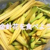 【台湾】金針花(忘れ草)を食べよう！