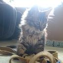 今、ここ、わたし