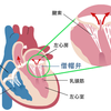 症状の詳細と手術の確定