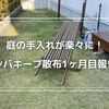 雑草ゼロの庭を維持！シバキープ散布後の1ヶ月経過報告