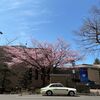 フェリー旅