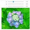 jupyter notebookのUIで画像の色味をインタラクティブに調整する