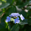 多摩川台公園 with FE 50mm F1.2 GM