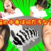 7月23日の動画