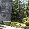 初夏のお出かけ、沼津。見て、歩いて、おいしい物を満喫しました。