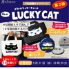 【私のLUCKY CAT 似顔絵ARキャンペーン】似顔絵ARキャンペーンに応募してみる！！