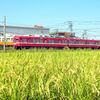 田園風景と還暦の赤い電車
