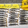 祝！解禁！長野県 根羽川 鮎友釣り釣行！