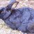 【大久野島：うさぎ島】2026年、新春ミッション その02