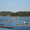 伊勢神宮→修禅寺参拝・温泉旅行 ④ 南勢桜山温泉「天然温泉海辺の宿 まるさん」さん