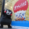 くまモン　東京千代田区と横浜に出没