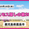 【10月】コスモス探しの旅2023 in 鹿児島県霧島市