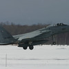  JASDF 72-8960 F-15J 2009/03/02