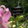 日本最古の厄除霊場であり、日本書紀ゆかりの地、奈良県大和郡山市の松尾寺へ。