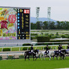 【競馬】京都競馬場 GI 天皇賞春