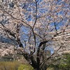 コロナでも若者を止めるのは難しい