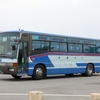 沖縄バス / 沖縄22き ・174
