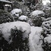 三重県の大雪