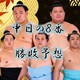 大相撲秋場所中日の取組み８番と最高点を予想してください