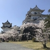 ソメイヨシノは同一人物。
