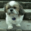 2007.3.27