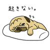 喜びのかたち
