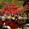 二の丸庭園Ⅱです。