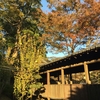 秋の中山まとめと昭和風画像
