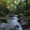 tochikoな山歩き　涼風駆ける