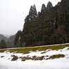 冷たい雨の日を過ごした