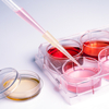 JSB Market Research : Complete 2015-16 Induced Pluripotent Stem Cell (iPSC) Industry Report