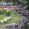 ミニ日本庭園
