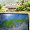ヒナの墜落