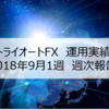 【週次報告】2018年9月1週目のトライオートFXのリアルな実績公開！今週は約3万円の利益でした！