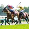 競馬初心者必見☆馬券予想🔥〜マイラーズC〜昨年の覇者がオッズ的に狙い目！？