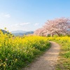 「ちょっとだけ」が、一番長続きする