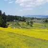 5月で勤続20年迎えました！