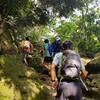 トレイルランにいってきた（円海山～鎌倉アルプス）