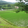 日中は暑くても夜は涼しい山暮らし😺