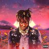 Wishing Well - Juice WRLD 歌詞和訳で覚える英語表現