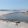 関根川河口　髙萩海岸