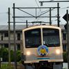 たなばた電車2024　（近江鉄道）