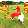 10月22日の動画