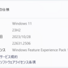 Windows 11 23H2 Build 22631.2506