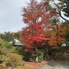 【紅葉が見頃！】がんこの三田の里でお祝いしてきました