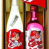 こんなに面白い本があるか！（今のおれに）『シオラン対談集』を読む