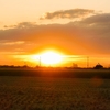 鴻巣の田園夕景 / 月景（埼玉県鴻巣市）