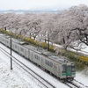 東北本線 -雪桜-